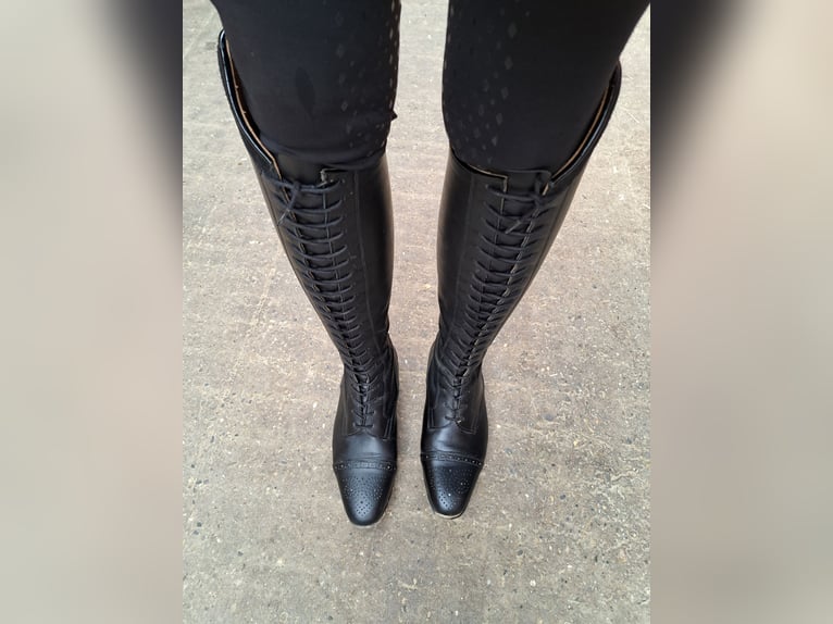 Celeris Modell Rita Gr 37