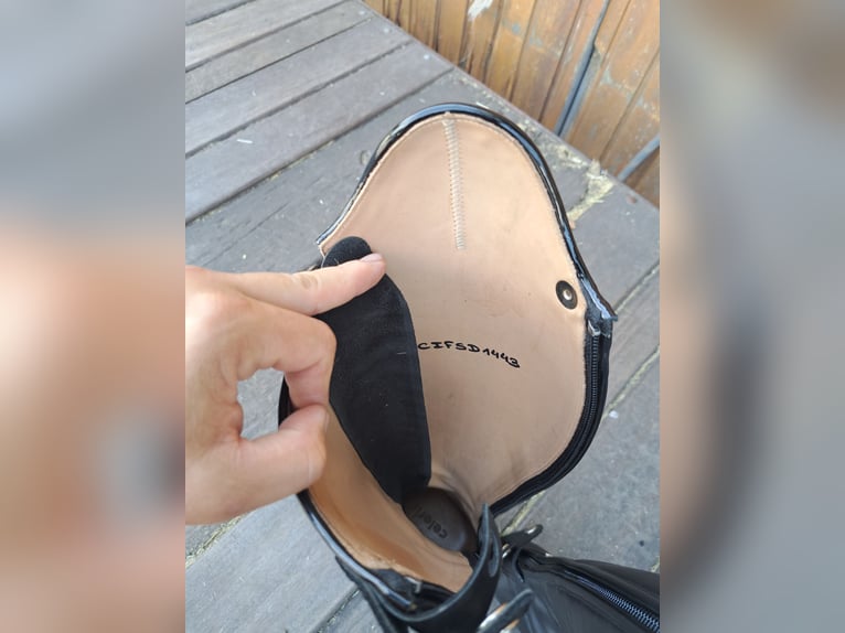 Celeris Modell Rita Gr 37