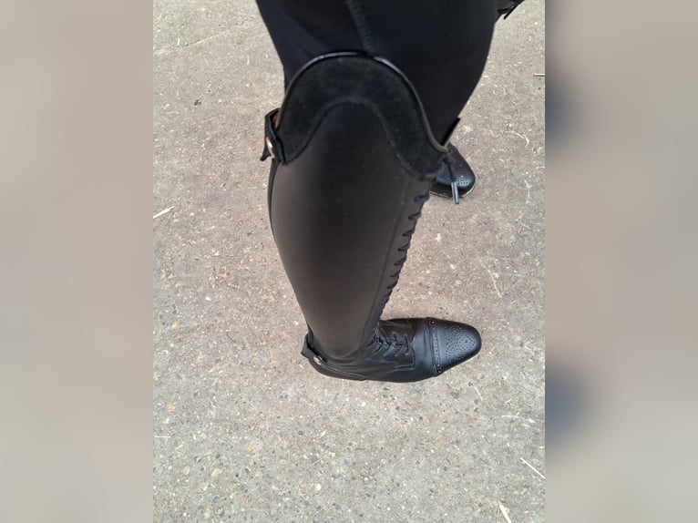 Celeris Modell Rita Gr 37