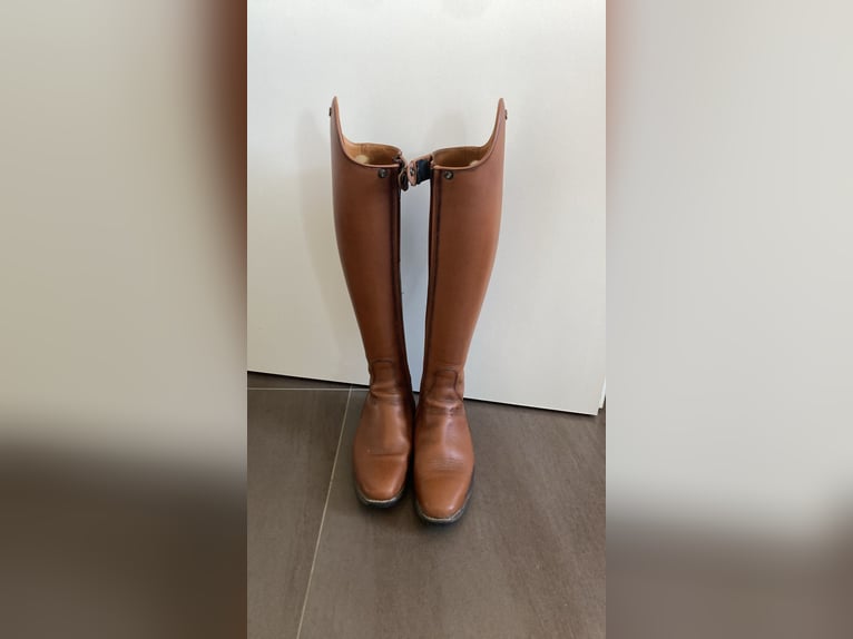 DeNiro Bellini Dressurstiefel