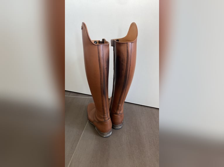 DeNiro Bellini Dressurstiefel