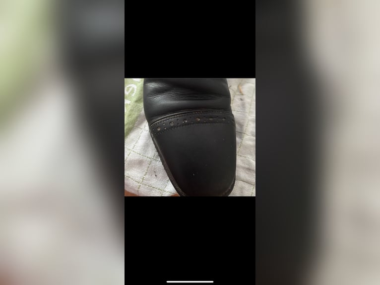 Deniro Reitstiefel 