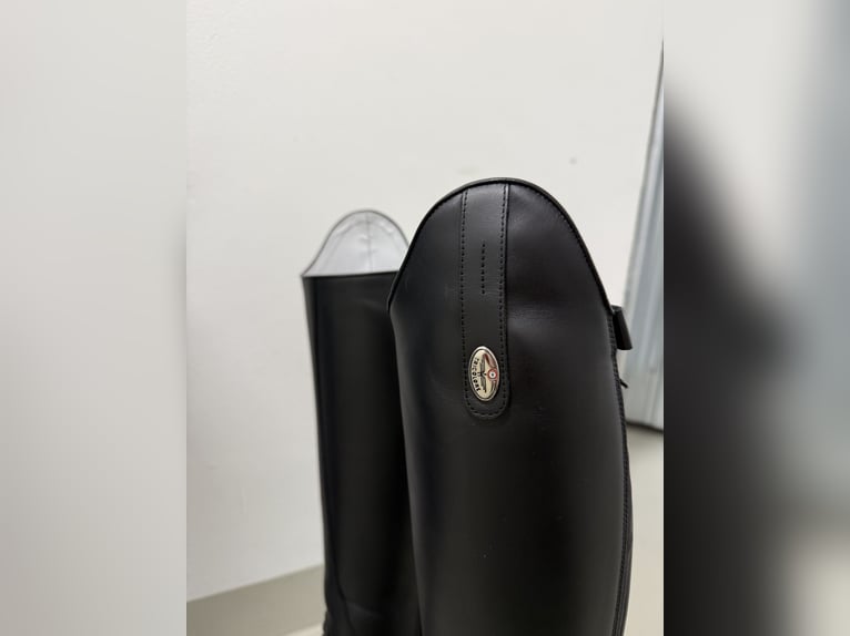 Deniro Tricolore Reitstiefel