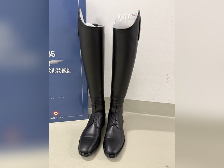 Deniro Tricolore Reitstiefel