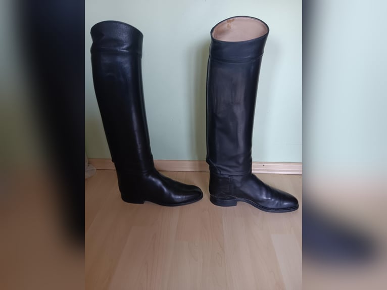 Dressurstiefel der Firma König zu verlaufen