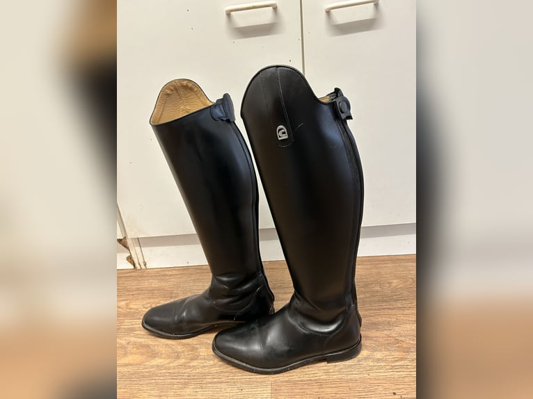 Dressurstiefel Linus Dressage 