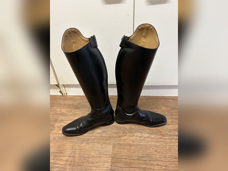 Dressurstiefel Linus Dressage 