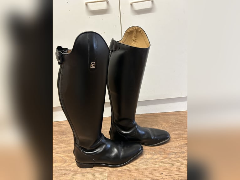 Dressurstiefel Linus Dressage 