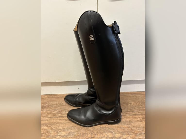 Dressurstiefel Linus Dressage 