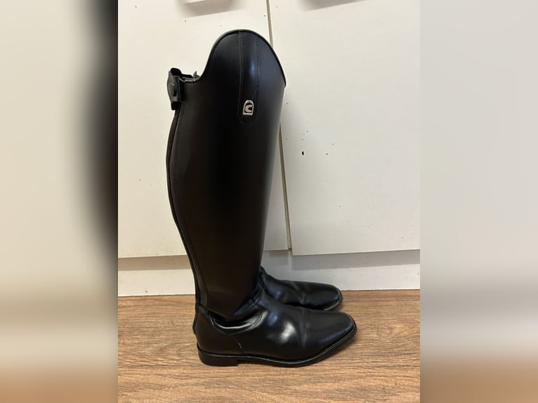 Dressurstiefel Linus Dressage 