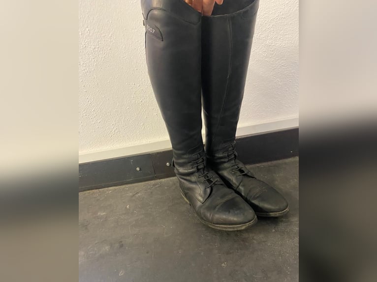Ego7 Reitstiefel in sehr gutem Zustand