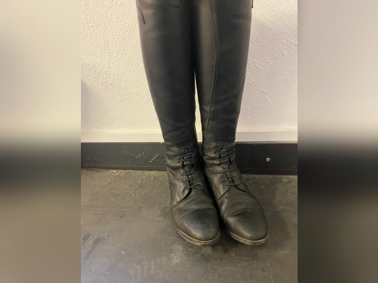 Ego7 Reitstiefel in sehr gutem Zustand
