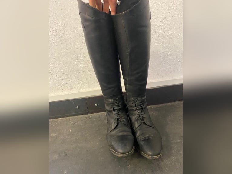 Ego7 Reitstiefel in sehr gutem Zustand
