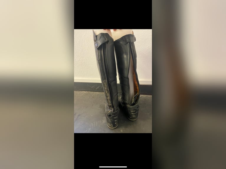 Ego7 Reitstiefel mit Gebrauchspuren
