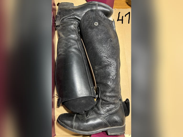 Einmal getragene Damen Reitstiefel 