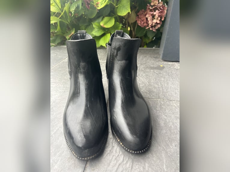 ELT Reitstiefeletten in Größe 41