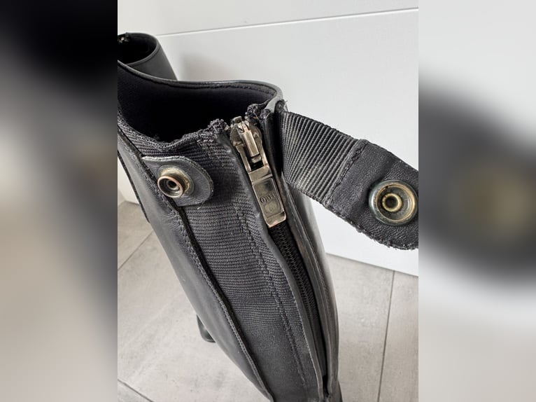 Felix Bühler Bergamo II Reitstiefel Gr.: 39