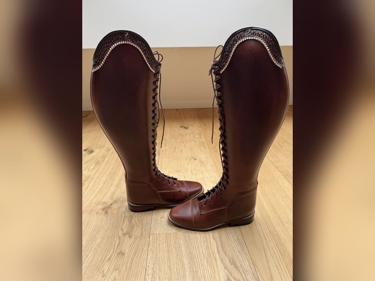 Healthy Horse Reitstiefel zum schnüren  39