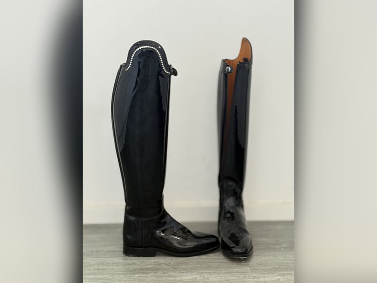 Königs Dressurstiefel „Lady“ 