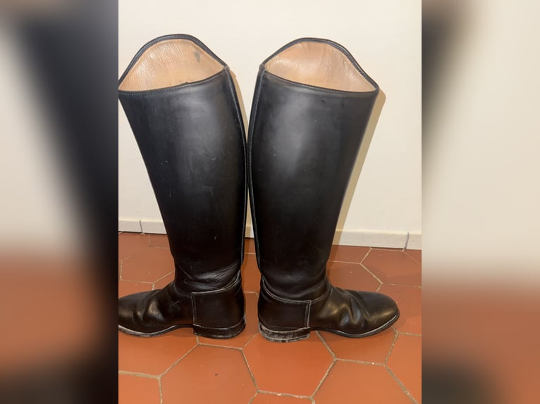 Königs Lederreitstiefel ohne Reißverschluss 