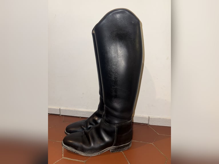 Königs Lederreitstiefel ohne Reißverschluss 
