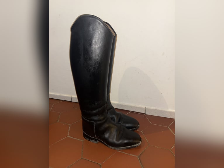 Königs Lederreitstiefel ohne Reißverschluss 