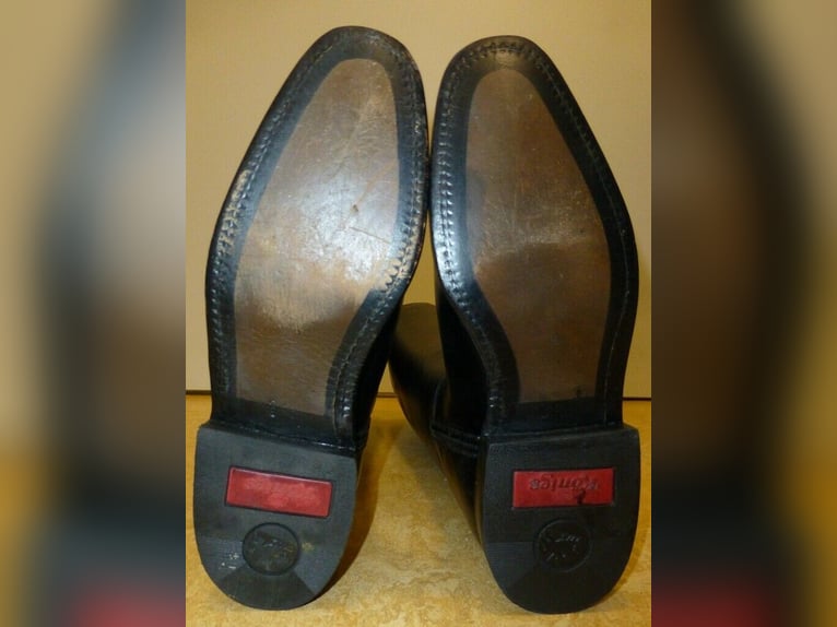 Königs ® SIR Damen Dressurreitstiefel Gr. 3,5 (36) NEU