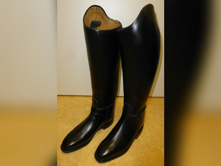 Königs ® SIR Damen Dressurreitstiefel Gr. 3,5 (36) NEU