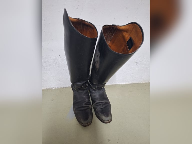 Lederreitstiefel Cavallo Gr. 5,5