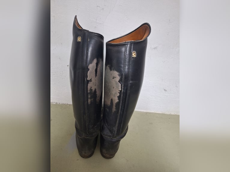 Lederreitstiefel Cavallo Gr. 5,5