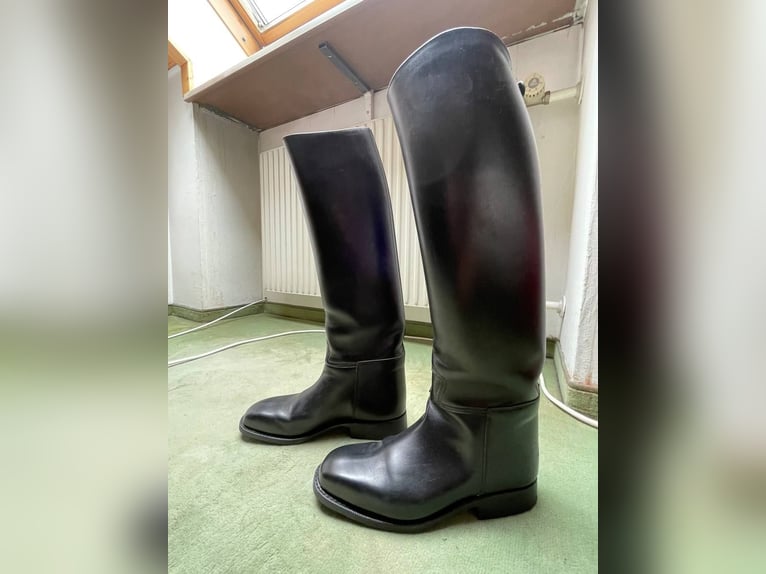 Lederreitstiefel Cavallo