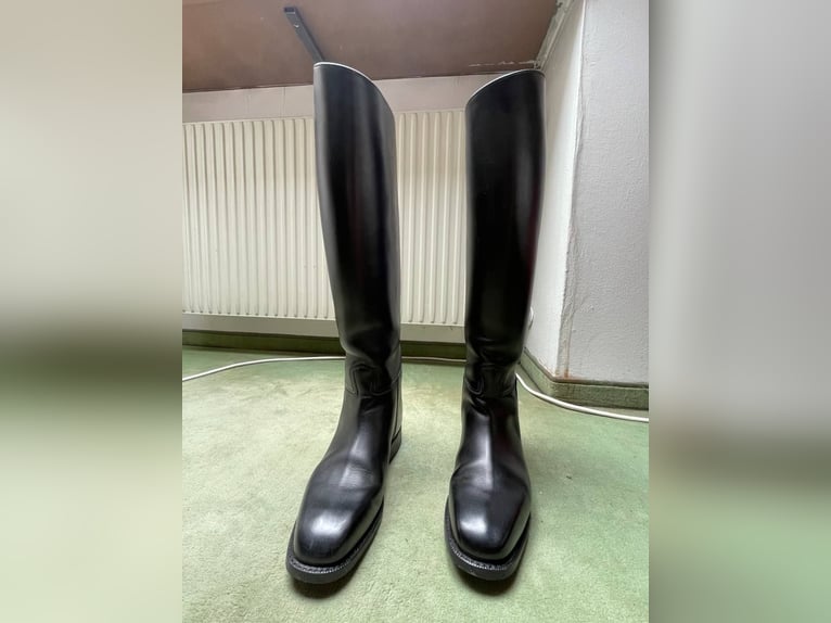 Lederreitstiefel Cavallo