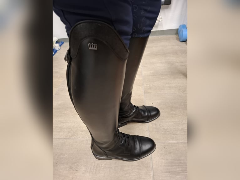 Lederreitstiefel Dressurstiefel Springreitstiefel 