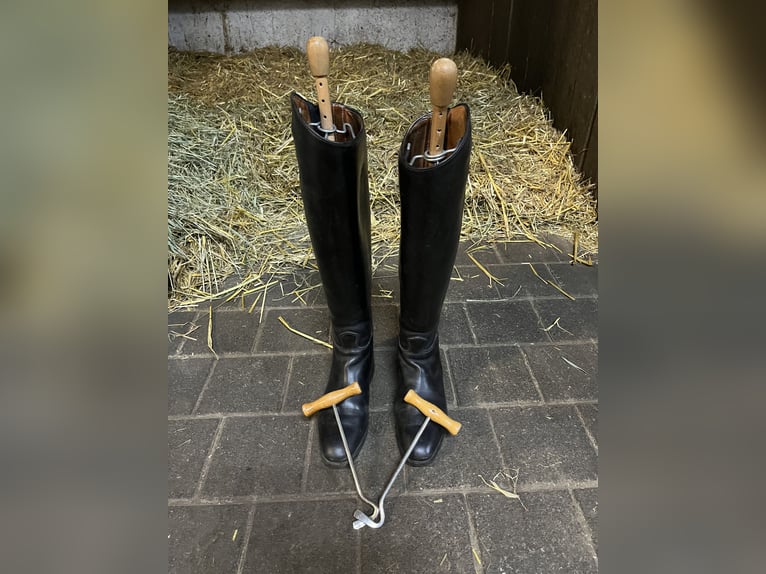 Lederreitstiefel Gr. 38 Lederreitstiefel Gr. 38