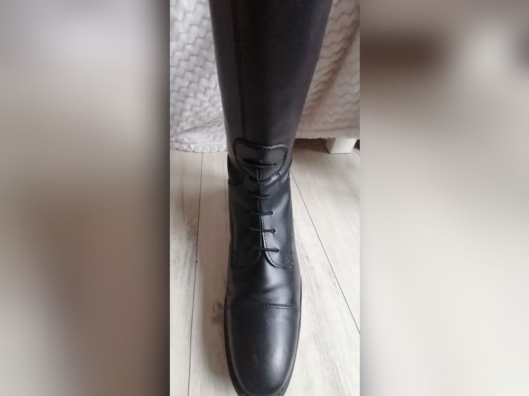 Lederreitstiefel Gr. 41 (Wie Neu)