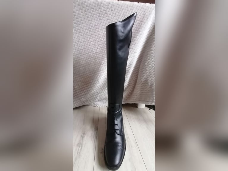Lederreitstiefel Gr. 41 (Wie Neu)