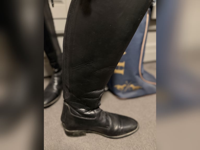 Lederreitstiefel mit HV Polo Tasche