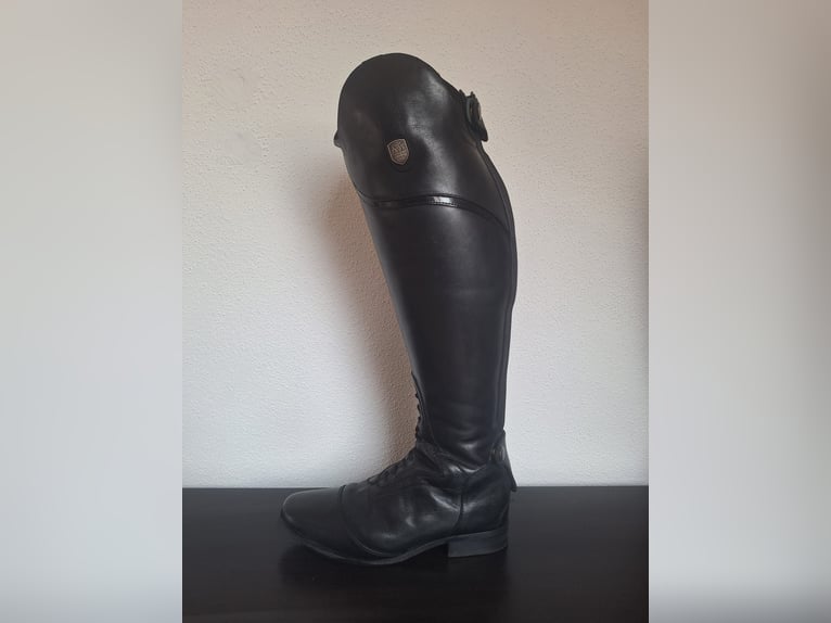 Mountain Horse Sovereign