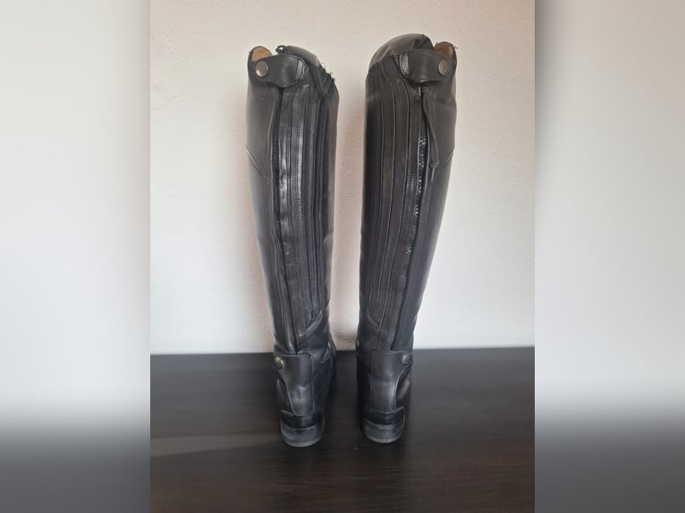 Mountain Horse Sovereign