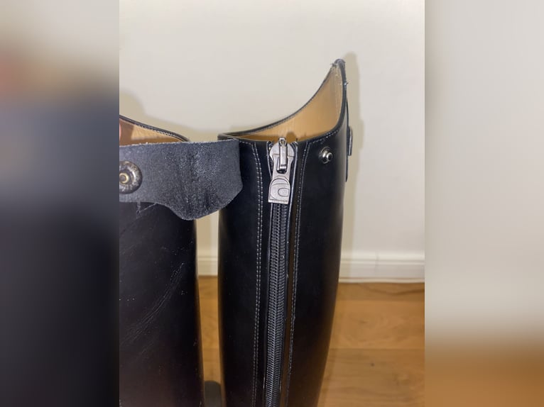 neue Cavallo Stiefel