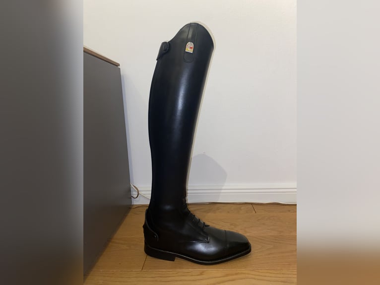 neue Cavallo Stiefel