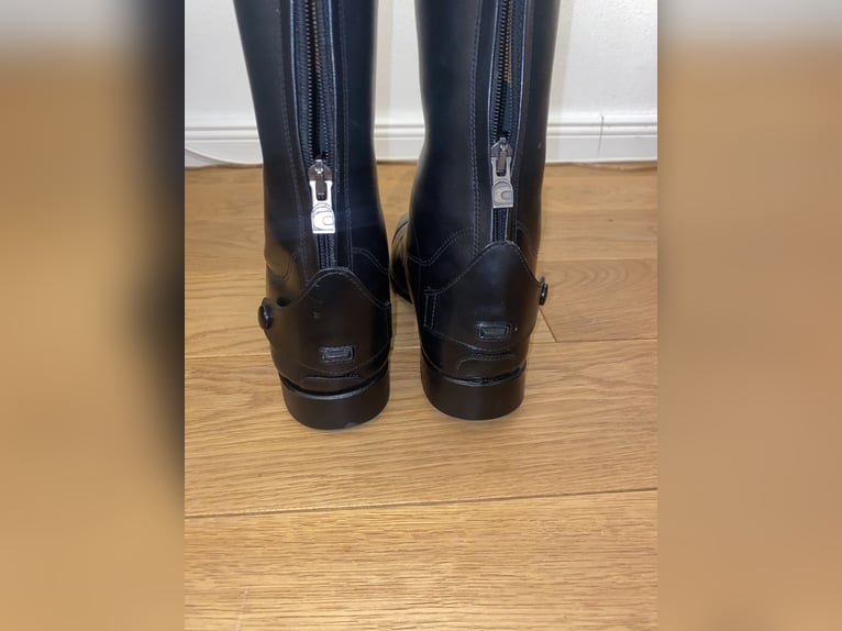 neue Cavallo Stiefel