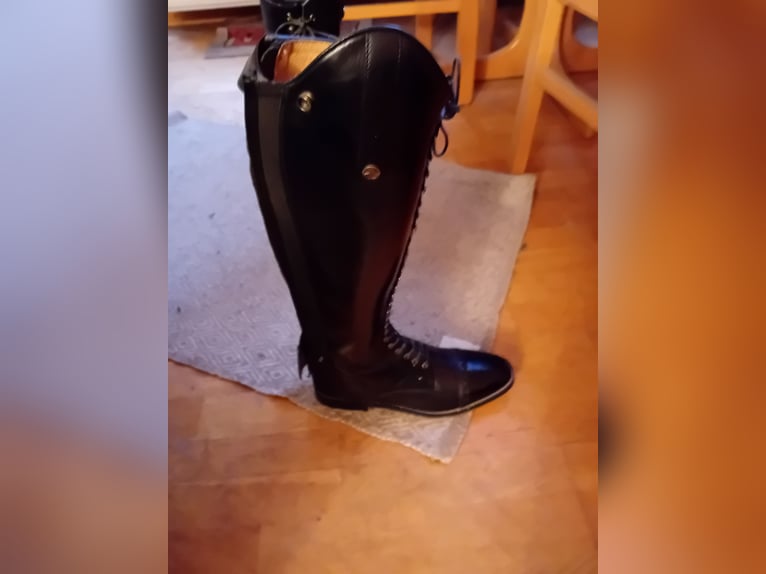 Neue Damenreitstiefel