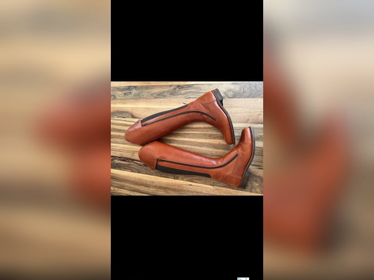 Neue Reitstiefel Größe 40