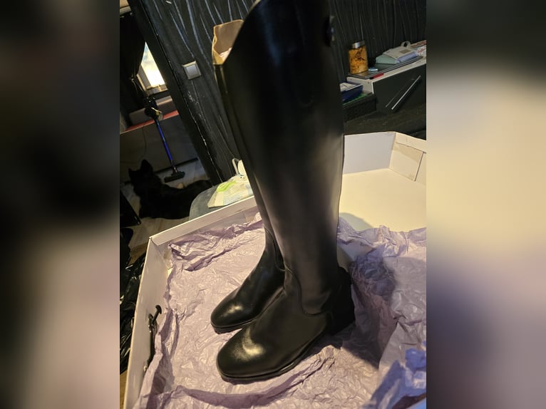 NEUE REITSTIEFEL ZU VERKAUFEN 