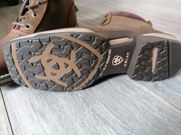 NEUE Stiefeletten Reitschuhe ARIAT - Anthem Lacer 37