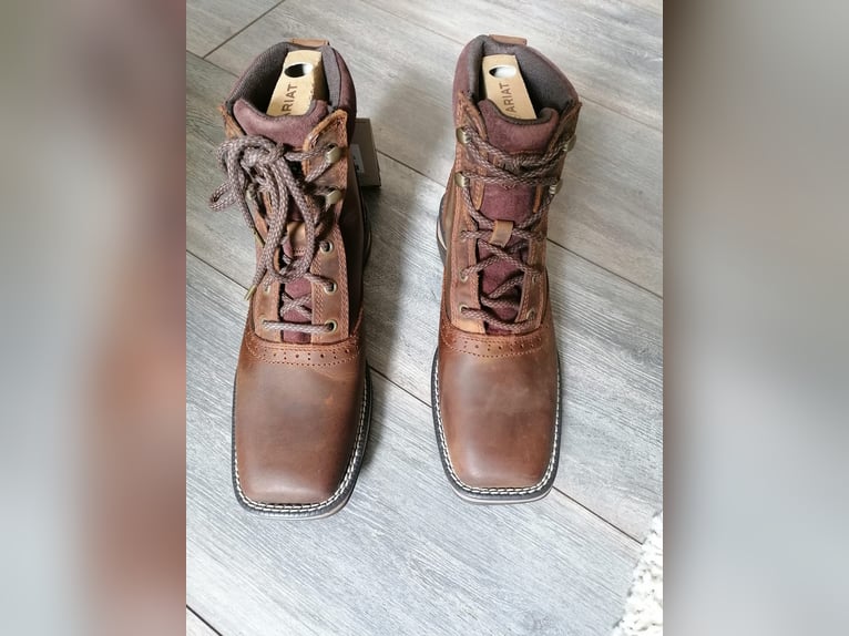 NEUE Stiefeletten Reitschuhe ARIAT - Anthem Lacer 37