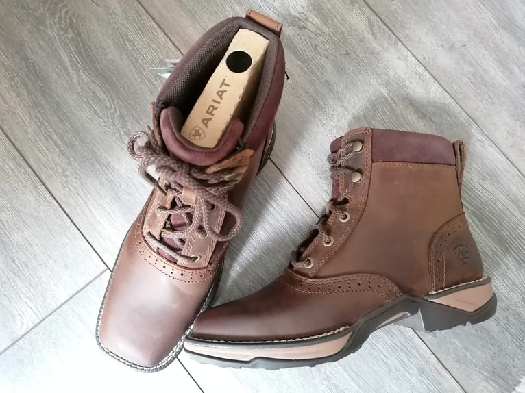 NEUE Stiefeletten Reitschuhe ARIAT - Anthem Lacer 37