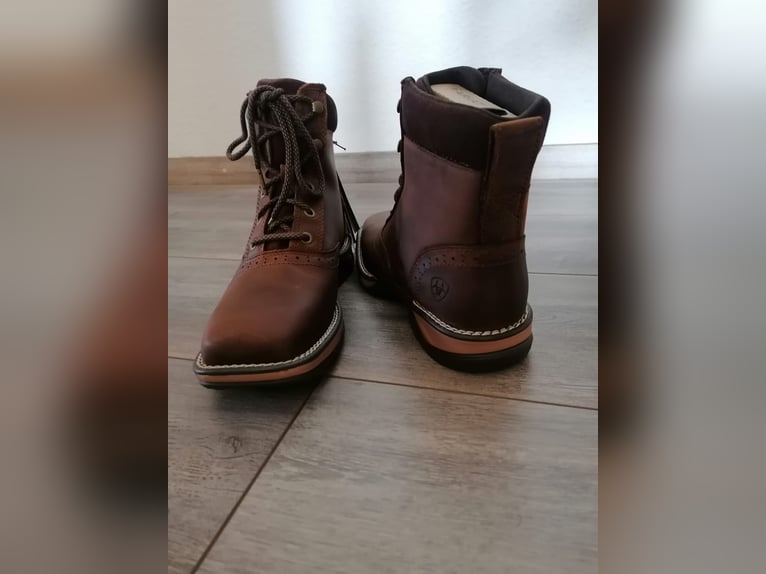 NEUE Stiefeletten Reitschuhe ARIAT - Anthem Lacer 37
