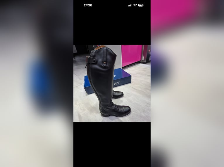 Neue ungetrage Reitstiefel von Ariat